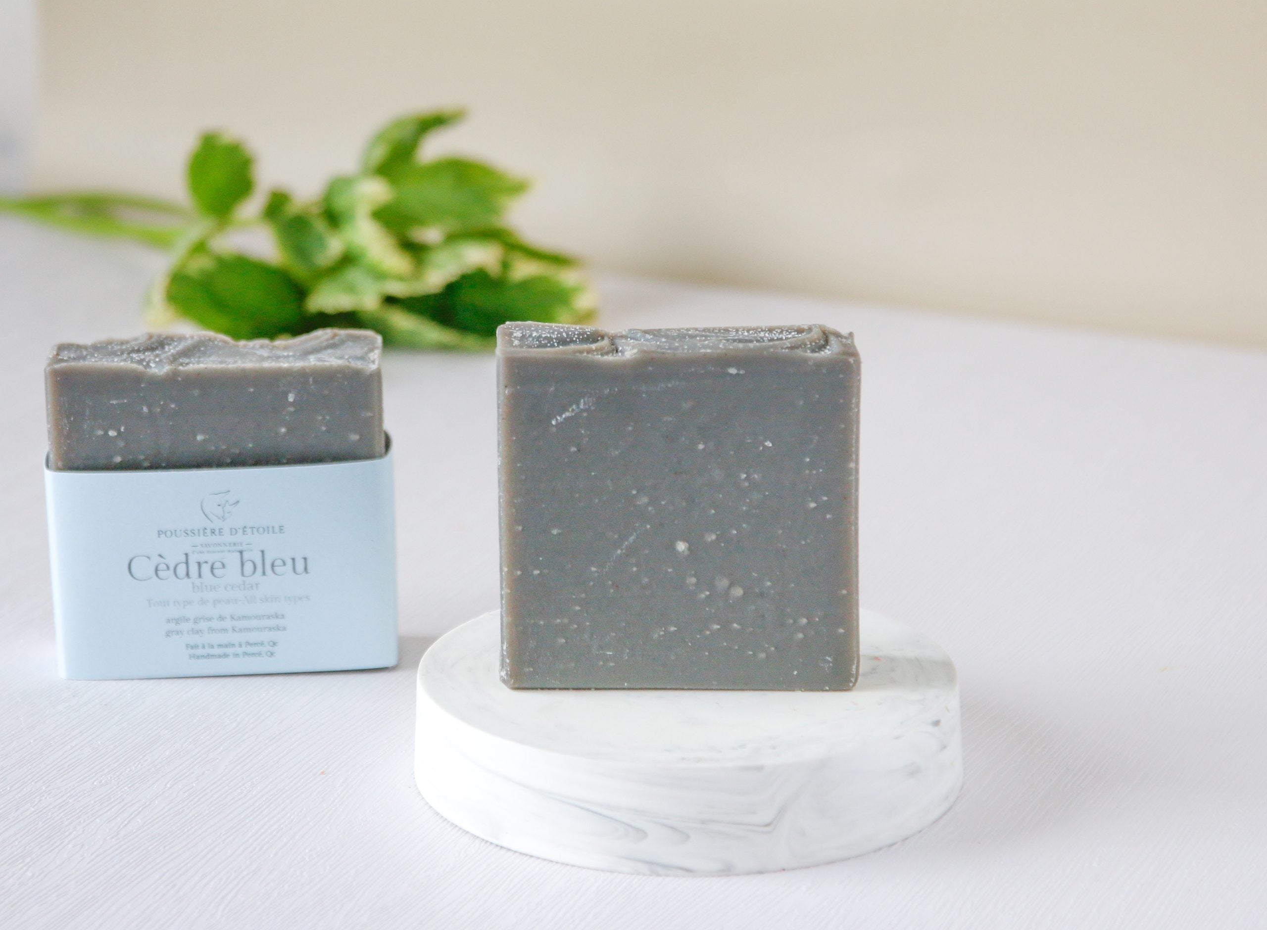Savon - Cèdre bleu *argile grise de Kamouraska*
