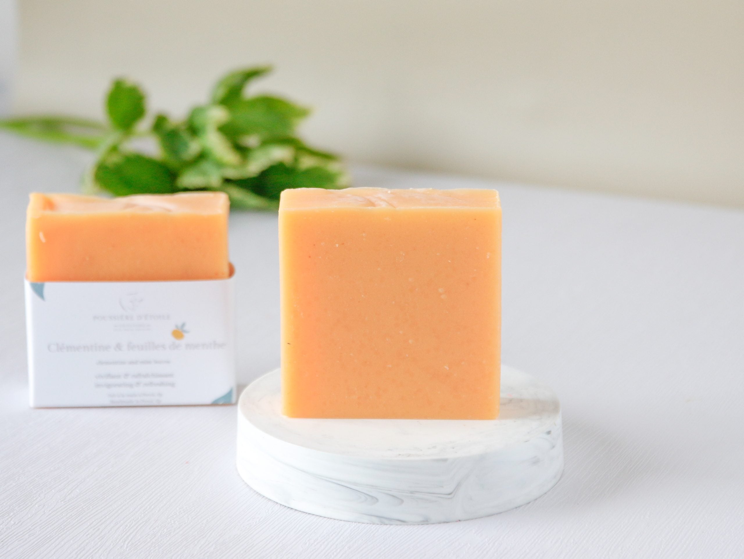 Savon - Clémentine & menthe