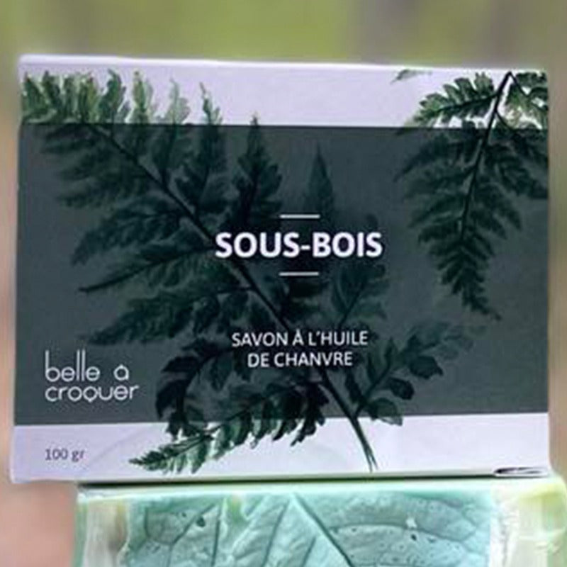 sous-bois.jpg