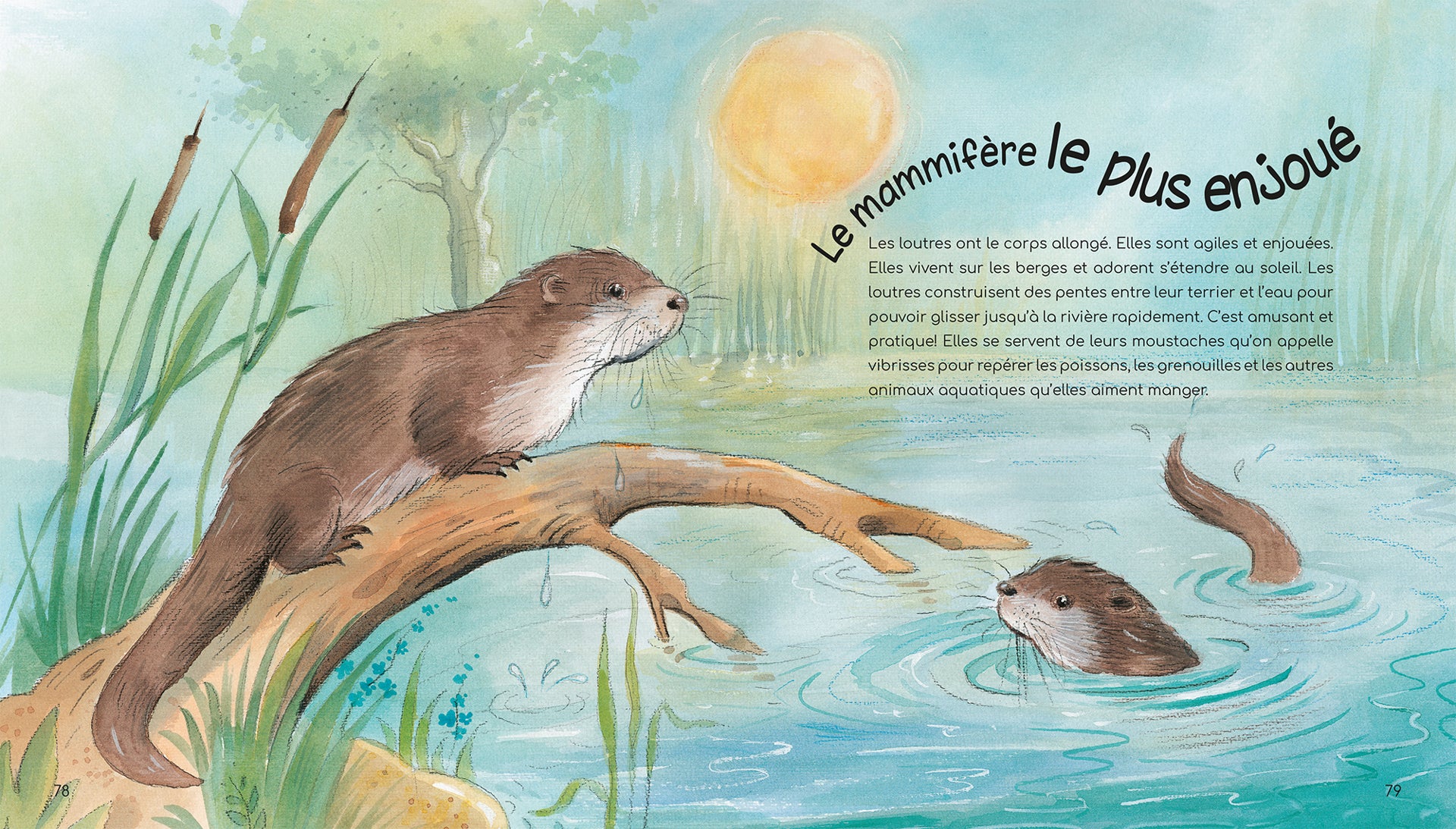 LE MONDE INCROYABLE DES ANIMAUX- LA COLLECTION POUR BIEN GRANDIR