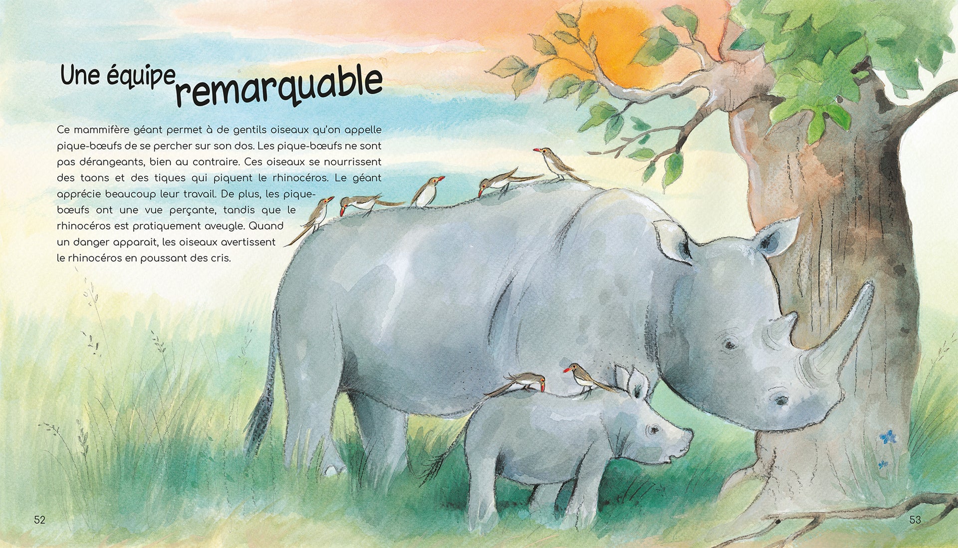 LE MONDE INCROYABLE DES ANIMAUX- LA COLLECTION POUR BIEN GRANDIR