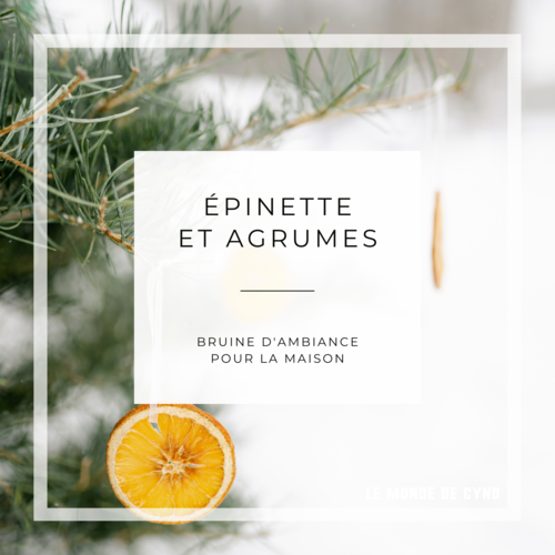 ÉPINETTE ET AGRUMES
