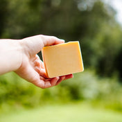 Barre shampooing à l'argousier du Mont-Ferréol
